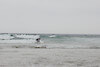 Workshop Surfer un arbre, septembre 2016