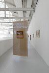 Steinar Haga Kristensen, vue de l'exposition La Période brune, 2017 - Passerelle Centre d'art contemporain, Brest © photo : Aurélien Mole