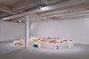 vue de l'exposition Vernacular Alchemists, 2014 - Passerelle Centre d'art contemporain, Brest © photo : Aurélien Mole