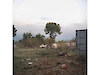 Tanya Traboulsi, Lost Strange Things: On not finding home, 2013-2014