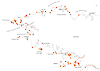 Initium Maris-Civis // Carte des sites de plongée de Nicolas Floc’h