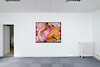 Philemona Williamson, Sweet Dreams, 2024 - Passerelle Centre d'art contemporain, Brest hors les murs / Manoir de Kerlaouen, Lesneven © photo : Aurélien Mole - Courtesy de l'artiste et Semiose, Paris