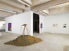 Vue de l'exposition Setu avec Charlotte Beltzung, Romain Bobichon, Pauline Lecerf, 2025 - Passerelle Centre d'art contemporain, Brest © photo : Aurélien Mole