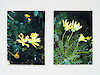 Marie Boyer in N'oublie jamais jamais les fleurs, 2025 - Les Chantiers Résidence - Passerelle Centre d'art contemporain, Brest © photo : Aurélien Mole