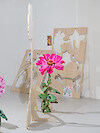 Marie Boyer in N'oublie jamais jamais les fleurs, 2025 - Les Chantiers Résidence - Passerelle Centre d'art contemporain, Brest © photo : Aurélien Mole