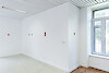 Hanako Murakami, Le regard qui brûle, 2025 - Passerelle Centre d'art contemporain, Brest hors les murs / Manoir de Kerlaouen, Lesneven © photo : Rémy Castan - Courtesy de l'artiste et Jean-Kenta Gauthier, Paris