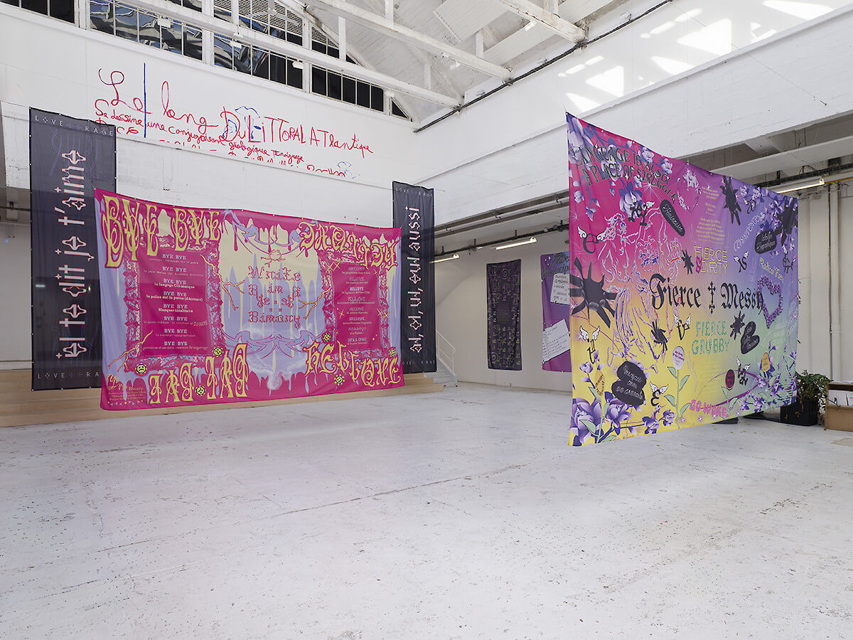 H·Alix Sanyas & Bye Bye Binary | Passerelle, centre d’art contemporain ...