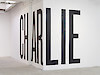 Sophie Cure in Alpha, Bravo, Charlie, 2025 - Passerelle Centre d'art contemporain, Brest © photo : Aurélien Mole